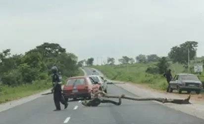 BREAKING NEWS: The Federal Government has banned the use of roadblocks for collecting taxes and levi...