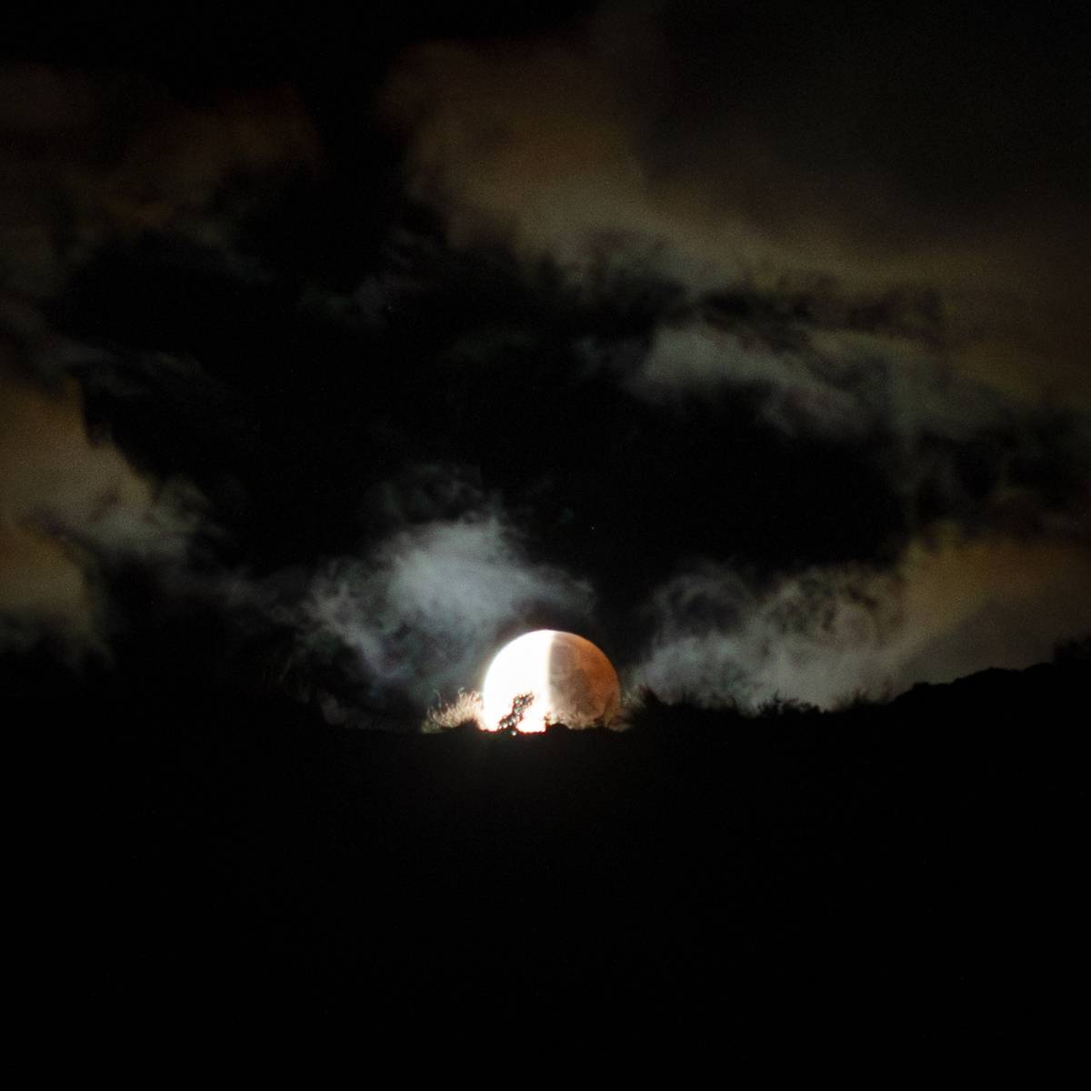 Did clouds block your view of the lunar eclipse? ☁️
Here are a couple of looks taken this morning:...