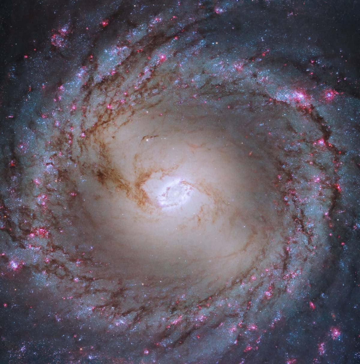You're looking at the home of 40 billion stars! ๐
Messier 95 is a barred spiral galaxy about 33 mi...