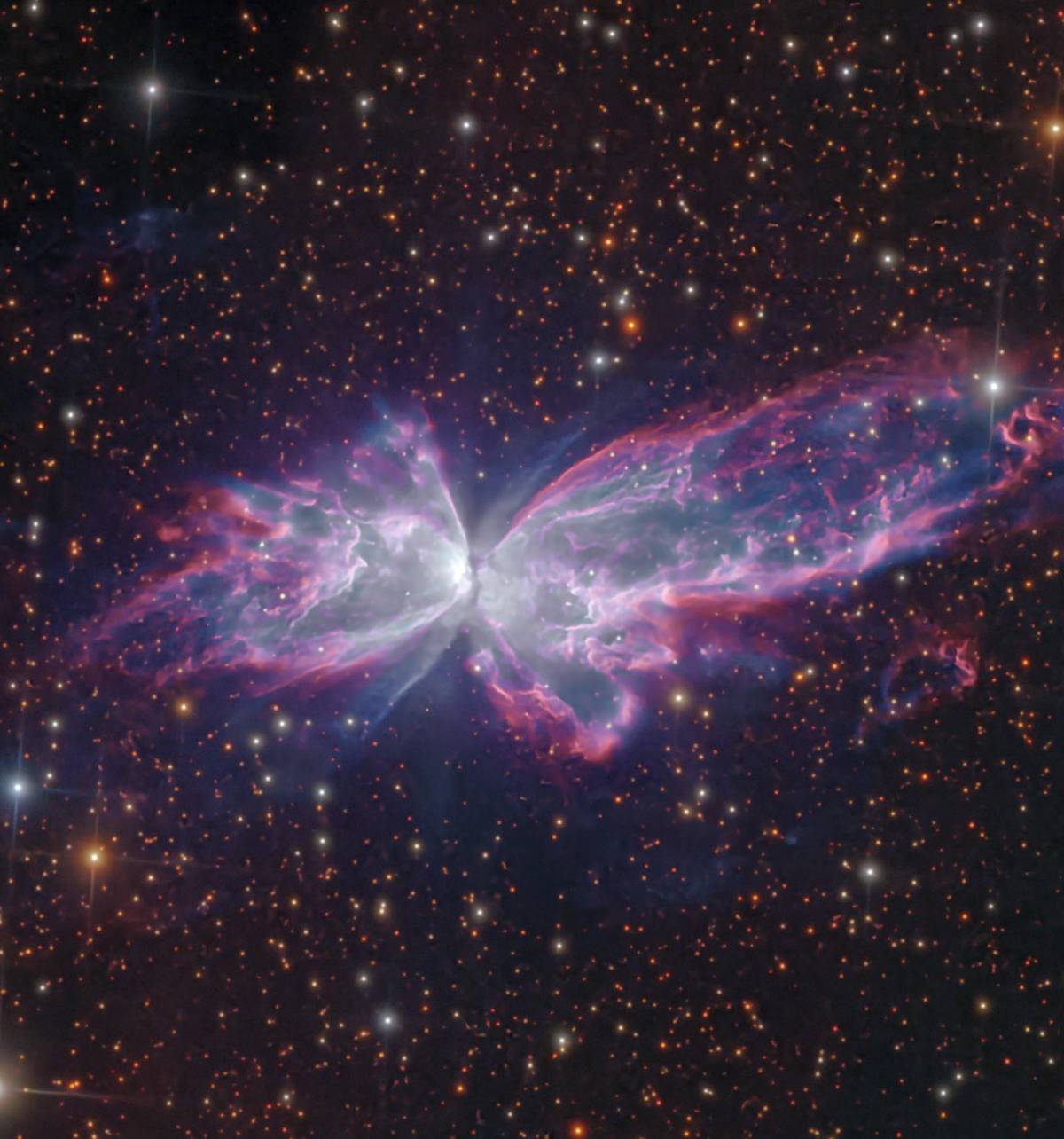 The Butterfly Nebula🦋