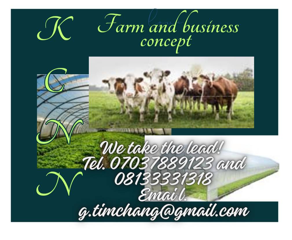 Greenhouse business on point. You can do well to patronise us. We are located in Jos, Plateau State.