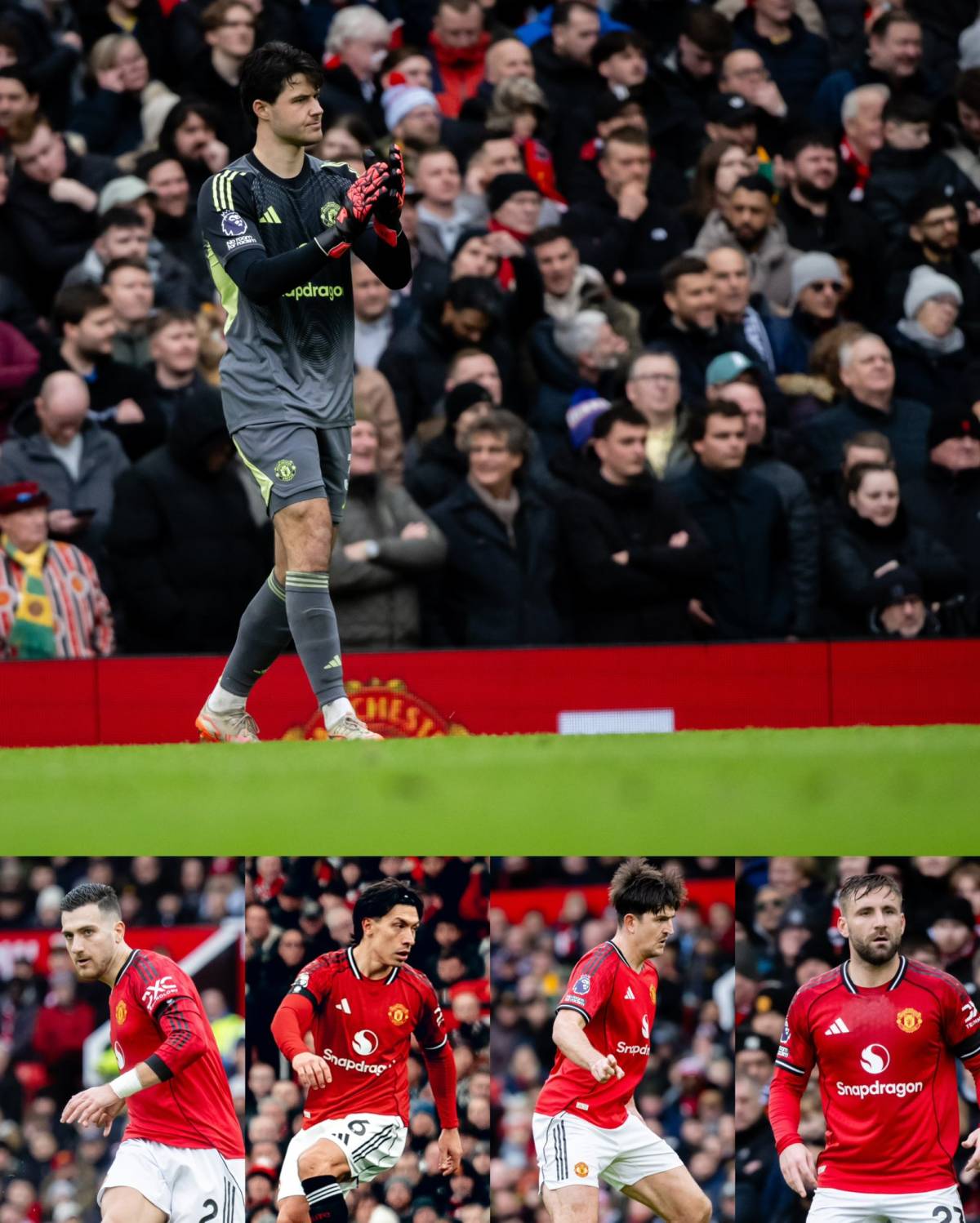 All Manchester United fans,
Let's CONNECT here👇👇
@Manchester United Mutuals❤️❤️❤️