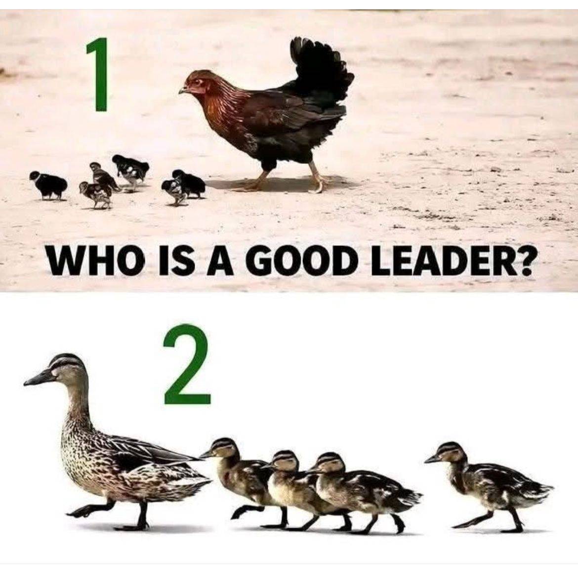 Leadership is anchored in vision and core values.
#lead