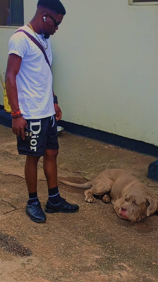 #LekeeLekee 
#LekeeLekee #dog #NaijaPride #Trending #Viral
