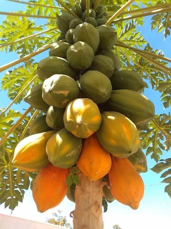 Good morning #LekeeLekeeFamily .
Have a fruitful day #everyone