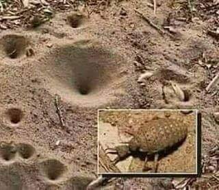 Who remembers this, and what is it called?