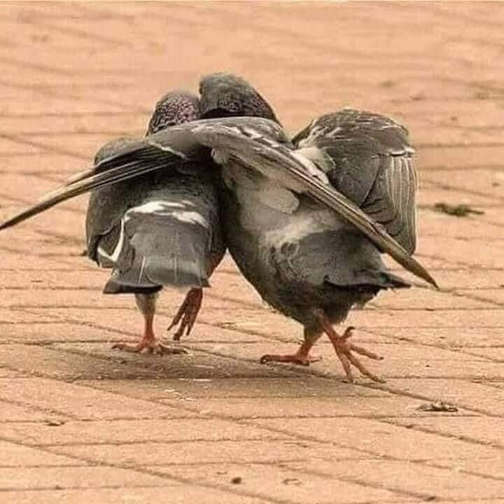#Friendship