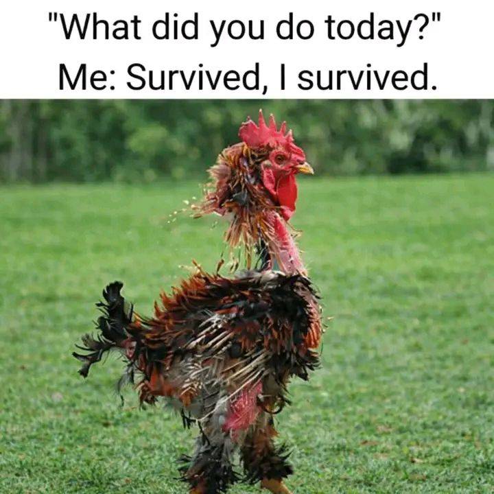 When you say “I’m fine” but this is your actual condition. 😂