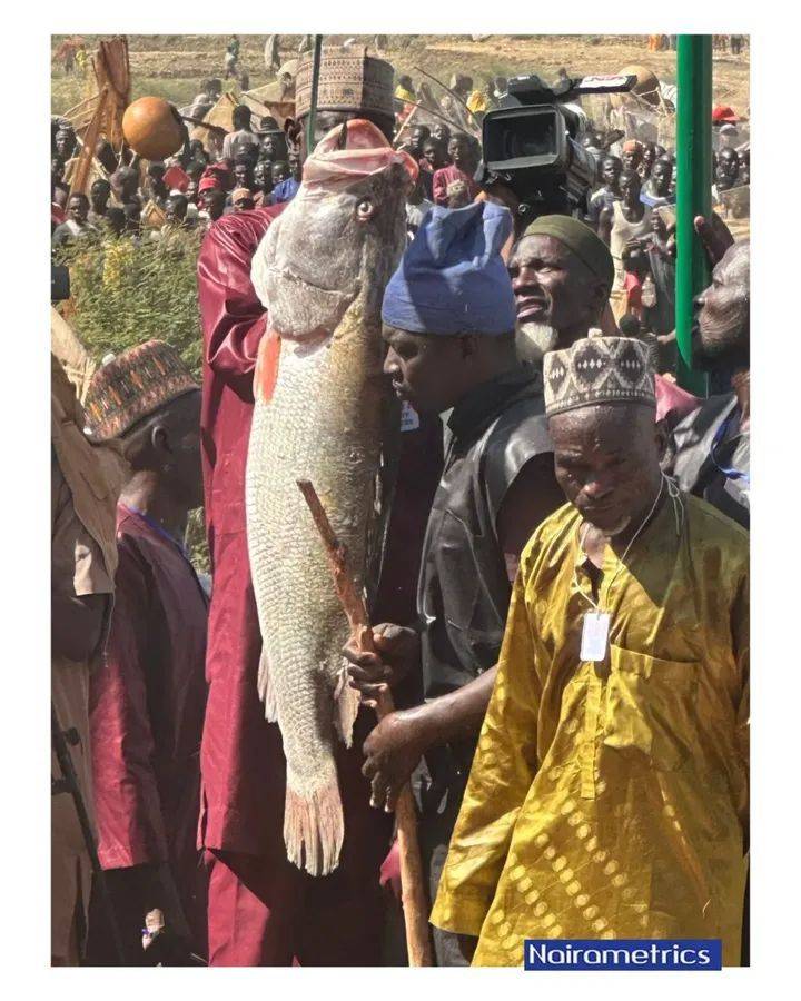 Argungun festival