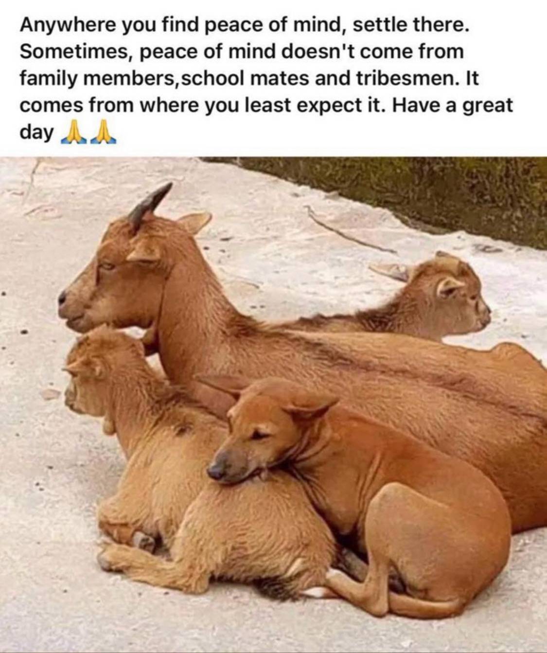Happy weekend LekeeLekee Family,today take time to appreciate the people who has one way or the othe...