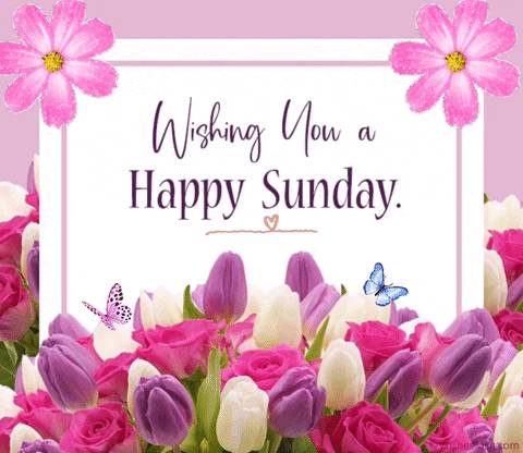 Good morning LekeeLekee family, it is a beautiful day and we will not lack any good thing ๐โค๏ธ