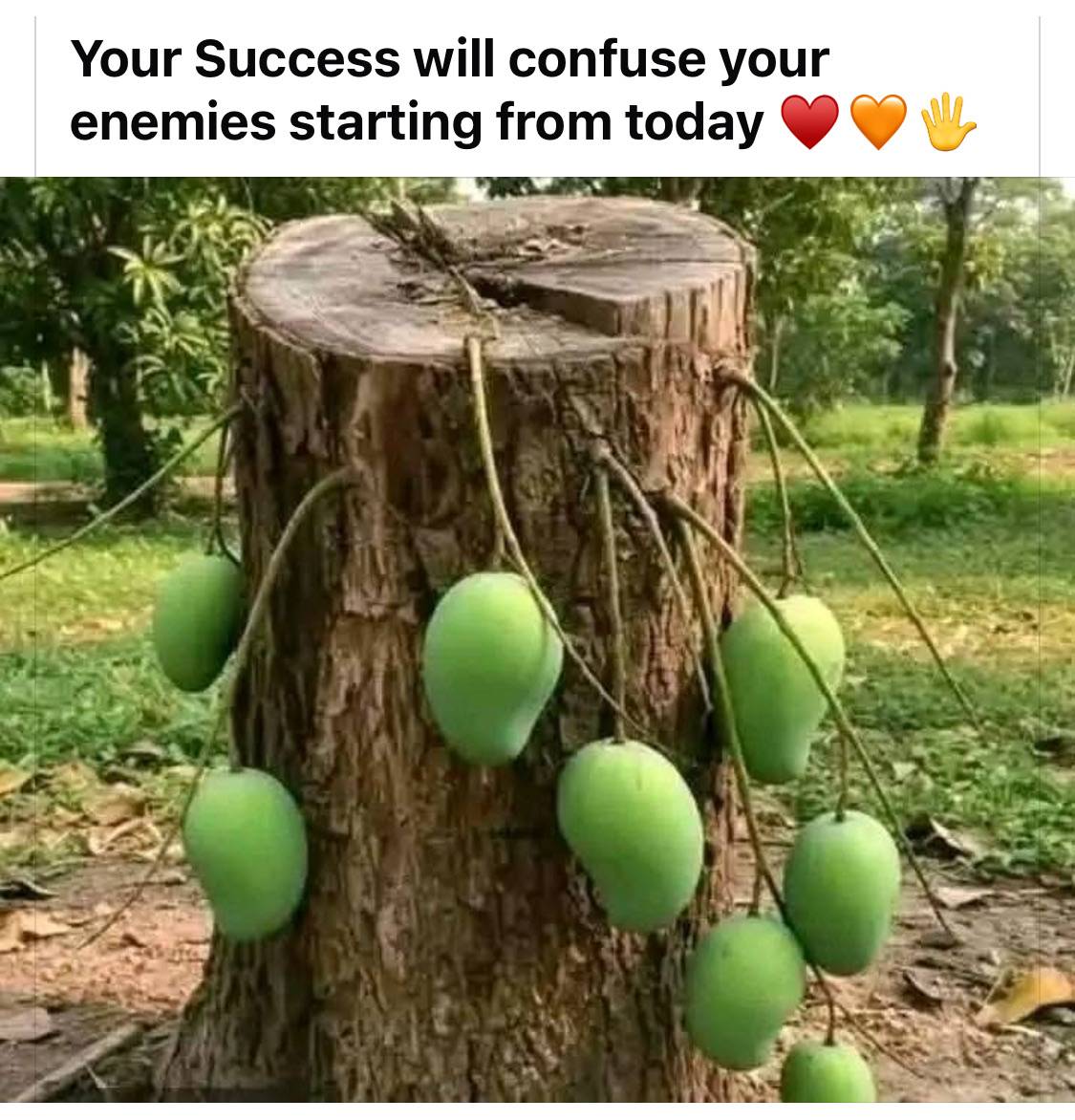 Don’t give up on yourself!!
#LekeeLekee
#proudNigeria