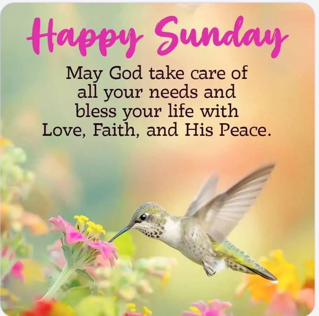 Good morning beautiful people of LekeeLekee family happy Sunday to everyone. Hope you all slept well...