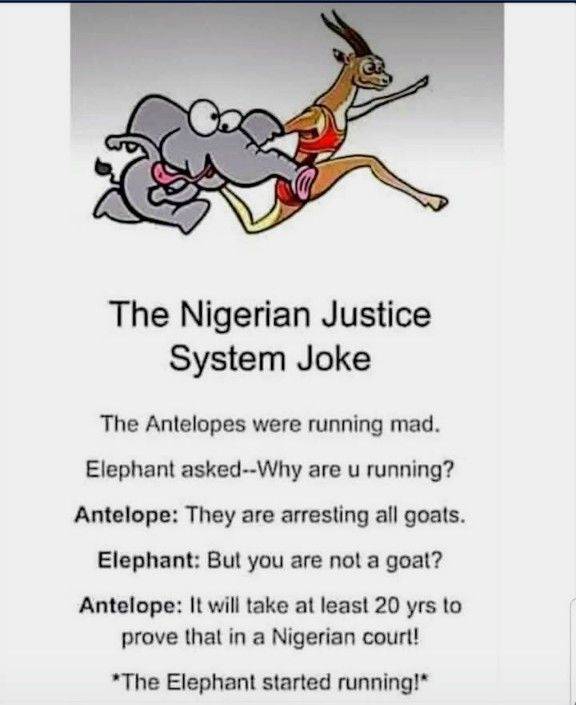 Food For Thought ⚖️