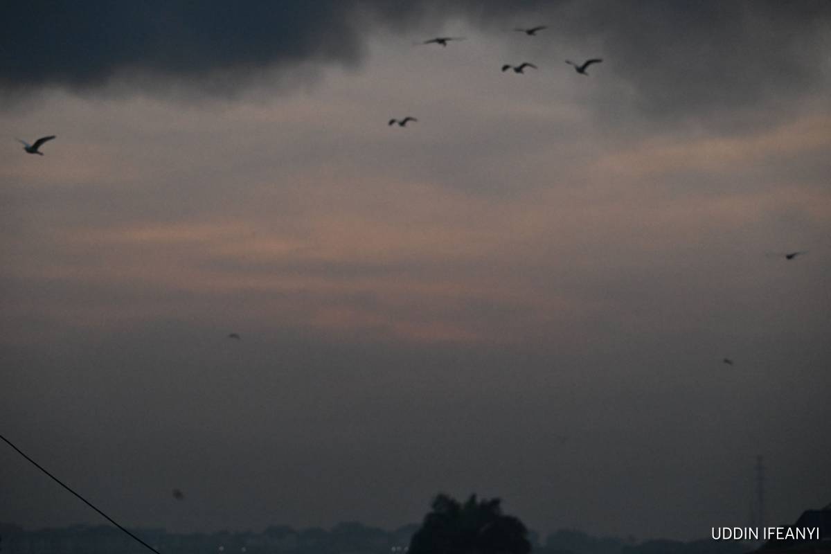 "Misty morning - don't see no sun".
