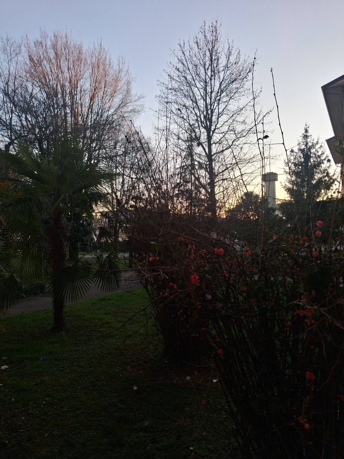 Nature