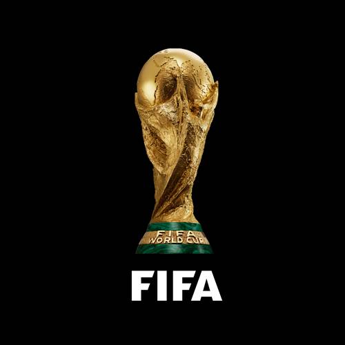 Iran’s Sports Minister has announced that the country will not take part in the upcoming World Cup s...
