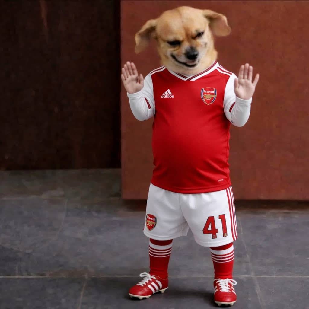 Arsenal fans are waiting ✋️ and hoping 🤣🤣