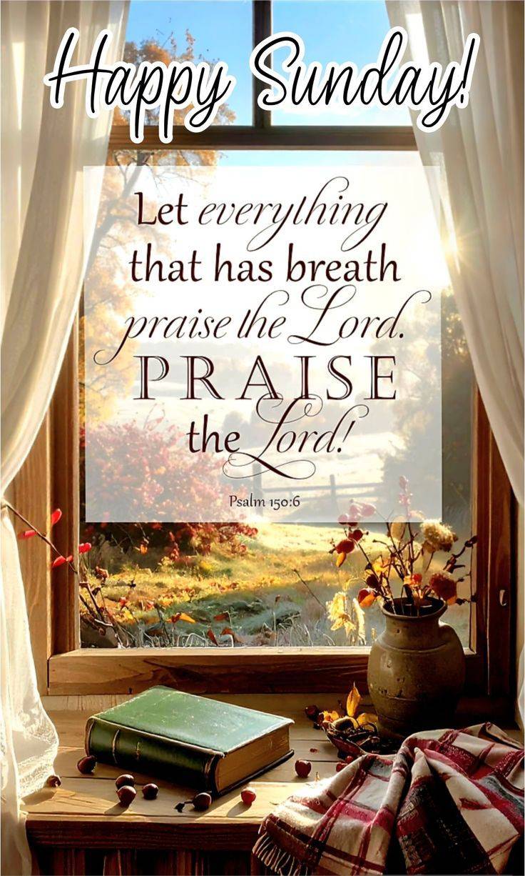 Have a Blessed Sunday ๐๐๐พ
#goodmorning #happysunday #benincity #thankgod