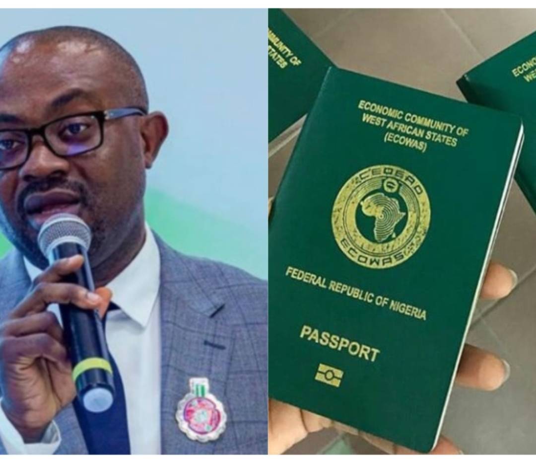 Nigerian govt moves to revoke passports of citizens who renounced nationality.
https://dailypost.ng...