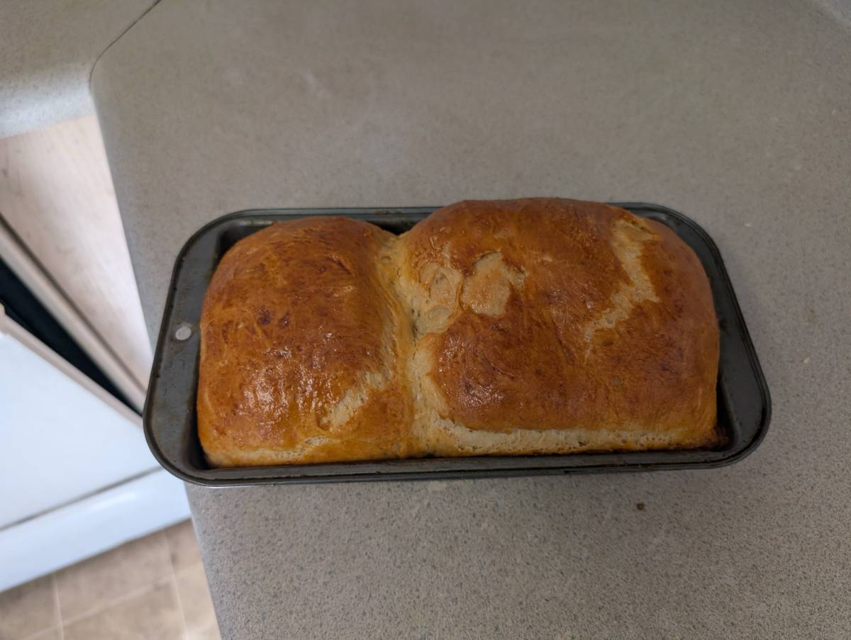 This was my first bread to turn out well. It felt really good to make bread!