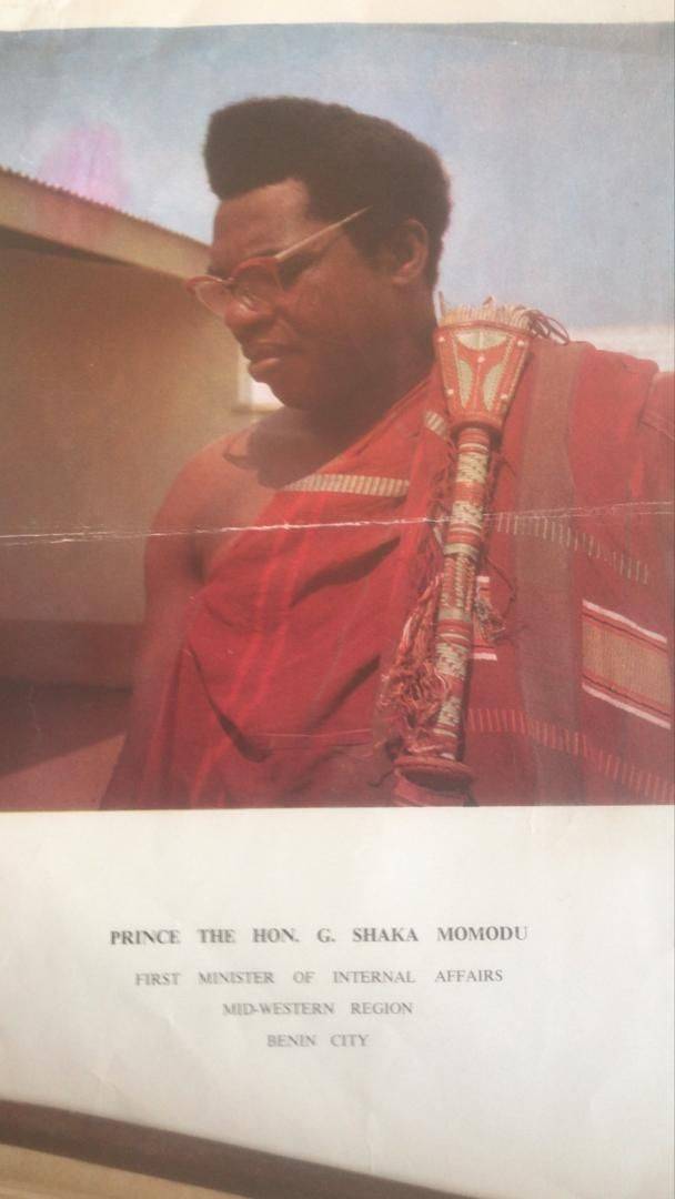 The lion of African