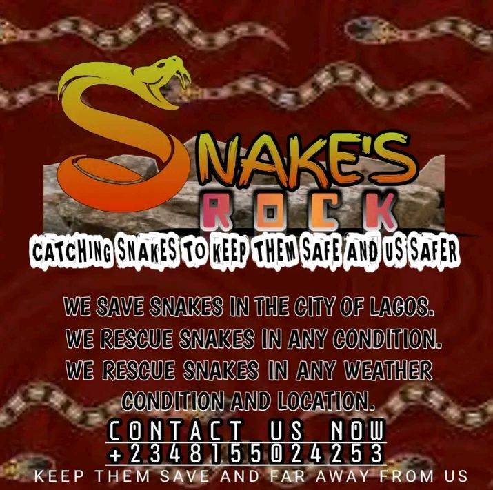 Save Their Number 

@lekeelekee  @arisenews  @Nigeria