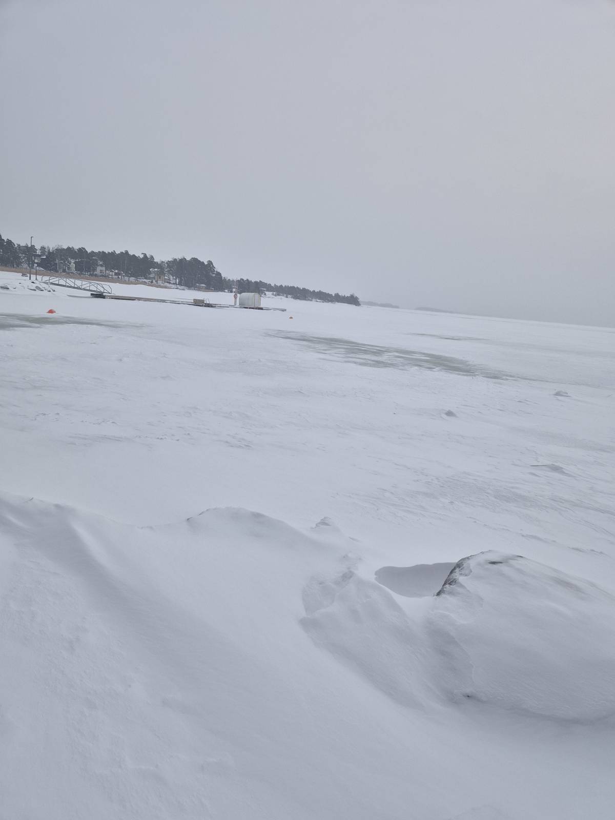 Frozen sea. #extremweather