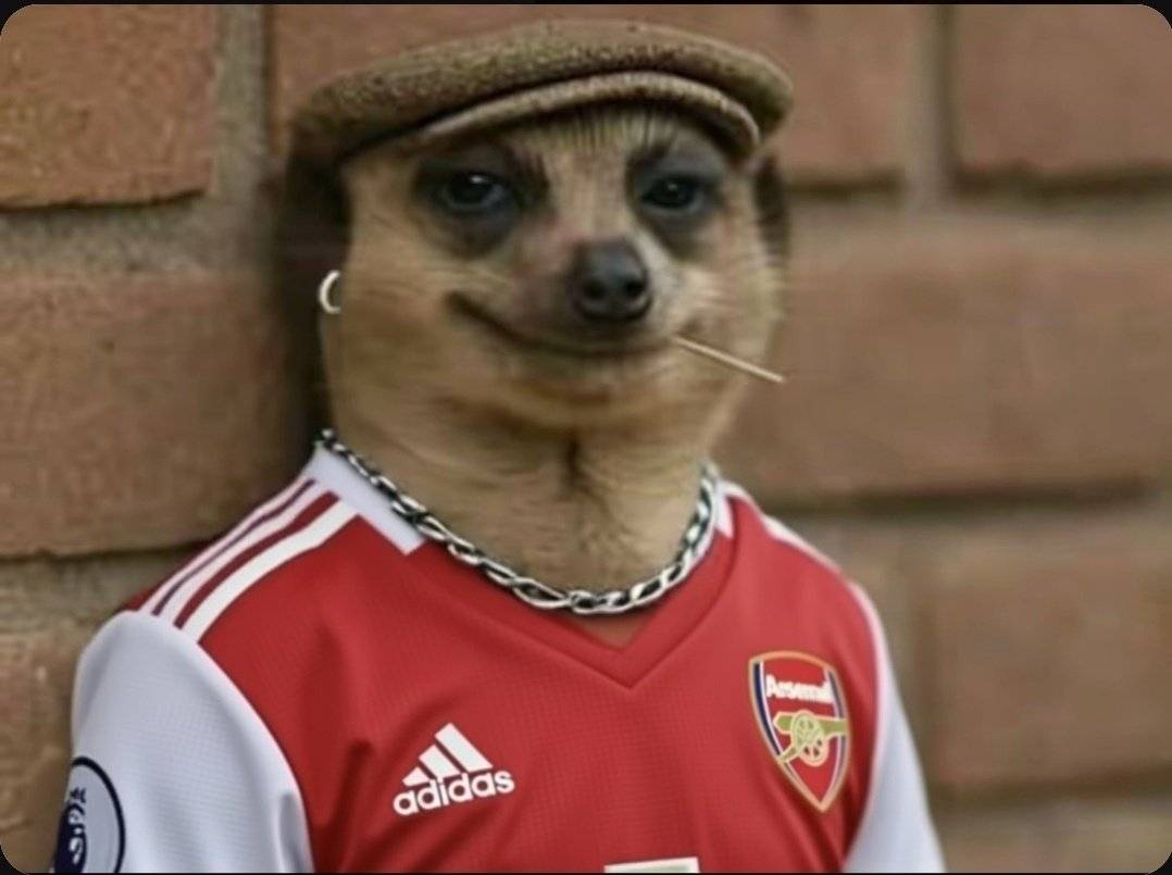 They way most Arsenal fans feels right now ...half happy/half sad 😔