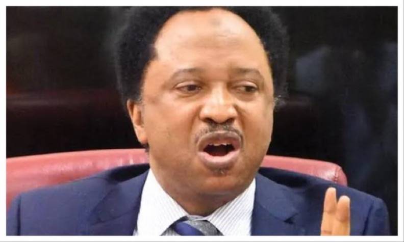 Shehu Sani links surge in terrorist attacks to 2027 election