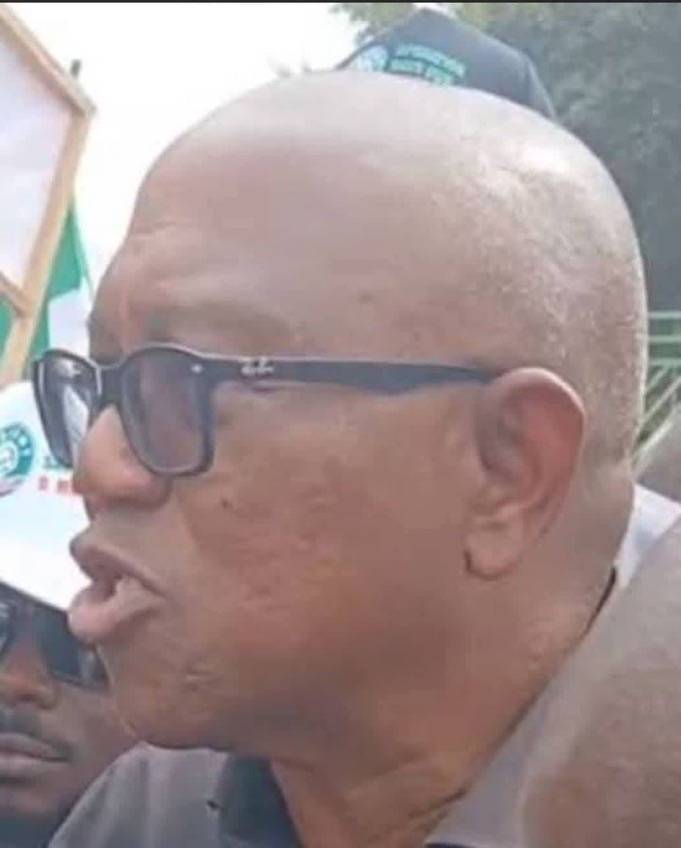 The Federal Government put Fire in Labor Party and I escaped before it burned Me" — Peter Obi