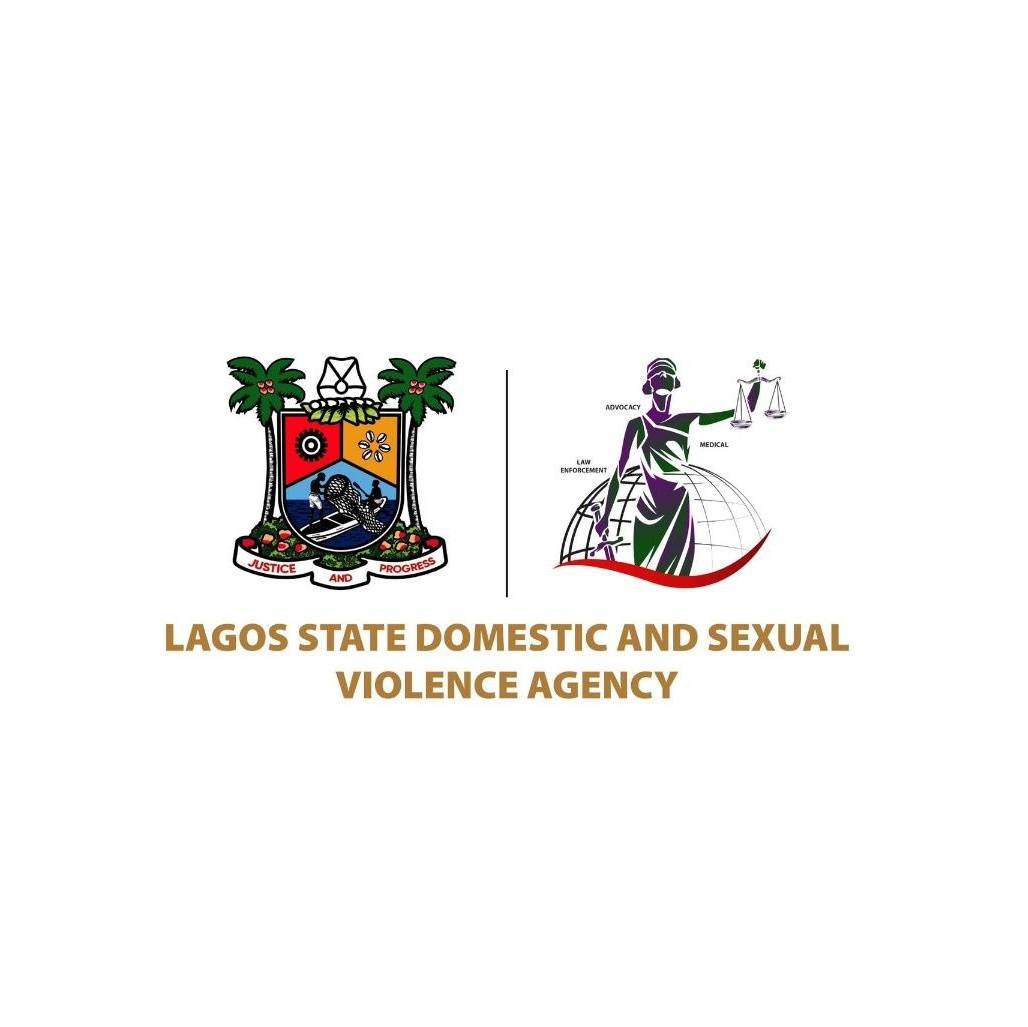 The Lagos State Domestic and Sexual Violence Agency have started acting on the case of the TikTok la...
