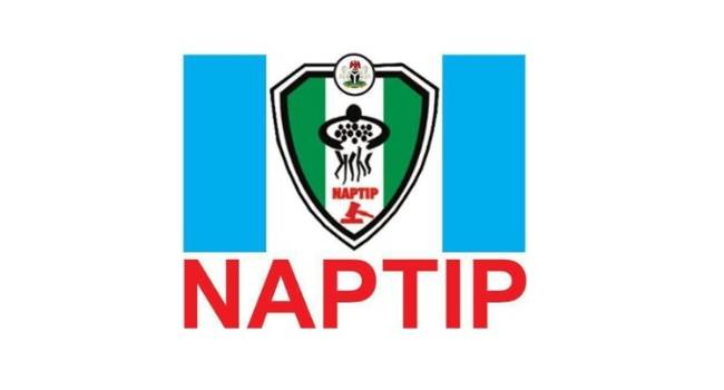 The National Agency for the Prohibition of Trafficking in Persons has rescued 184 victims of human t...
