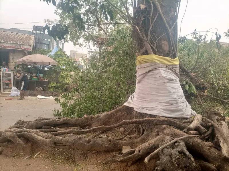 Residents of Ihewuzhi village, Ogui-Nike, Enugu metropolis, on Wednesday witnessed the fall of an an...