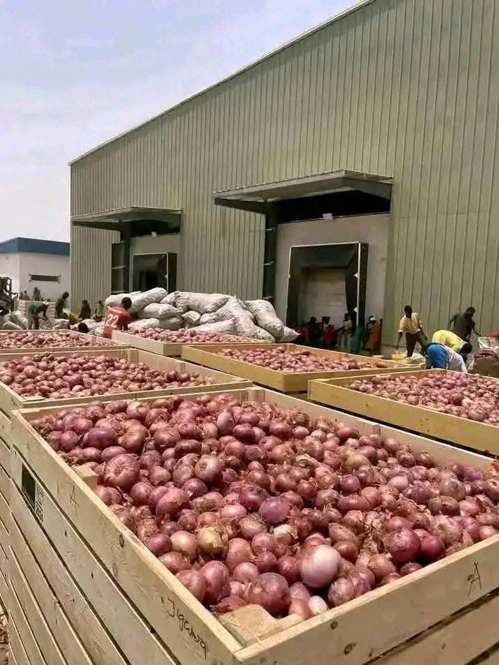 The Kano State has built an Onion Storage facility to reduce post harvest losses and make Onions rel...