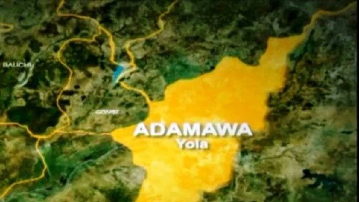 The Adamawa State Governor, Ahmadu Fintiri, has imposed a curfew on Lamurde Local Government Area to...