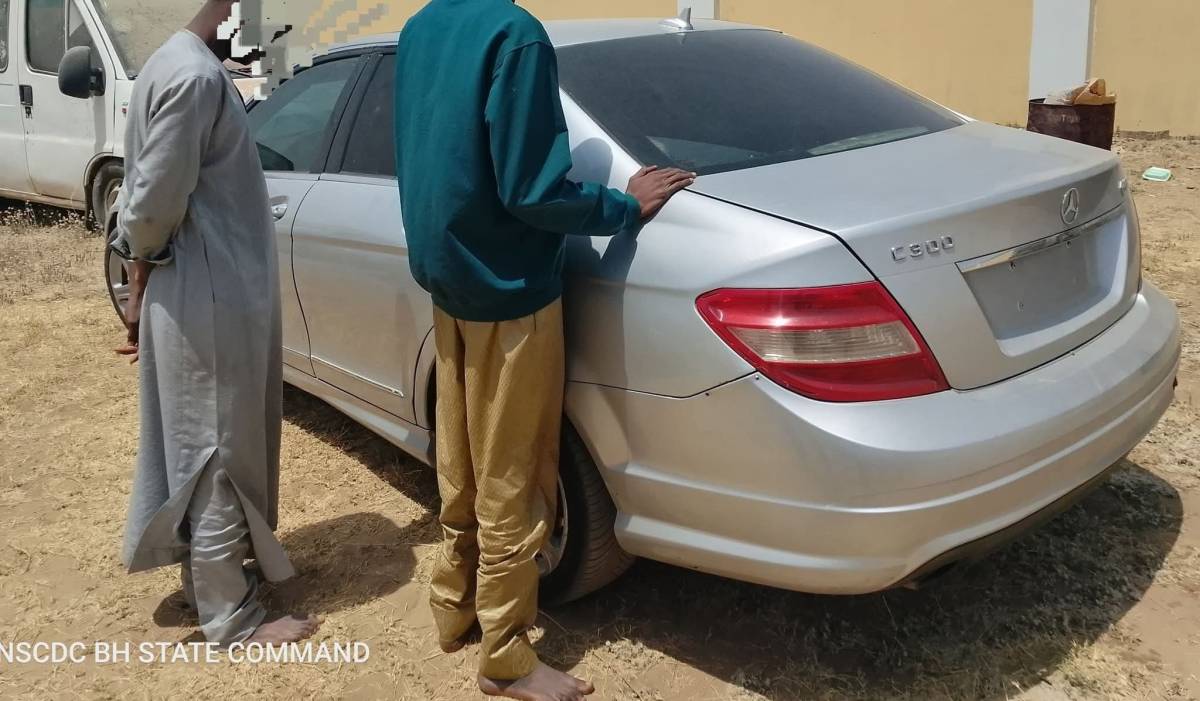 The Nigeria Security and Civil Defence Corps (NSCDC) Bauchi State Command has arrested a 30-year-old...