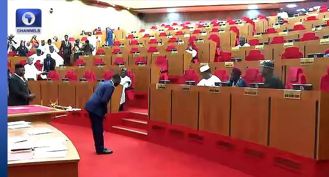 The Senate has confirmed Taiwo Oyedele as minister of state for finance