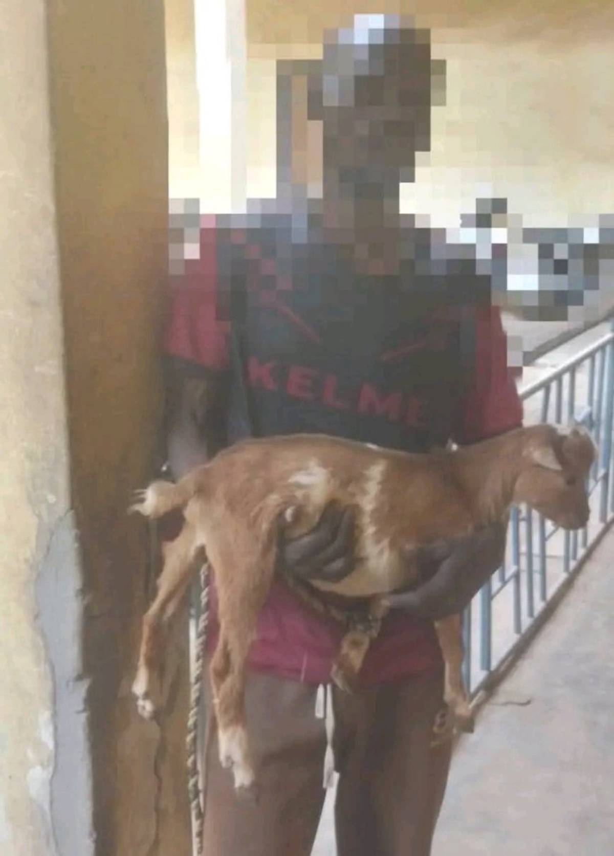 Court has Sentenced 18-years-old Boy, Gado Adamu To Six Months imprisonment For Stealing Pregnant Go...
