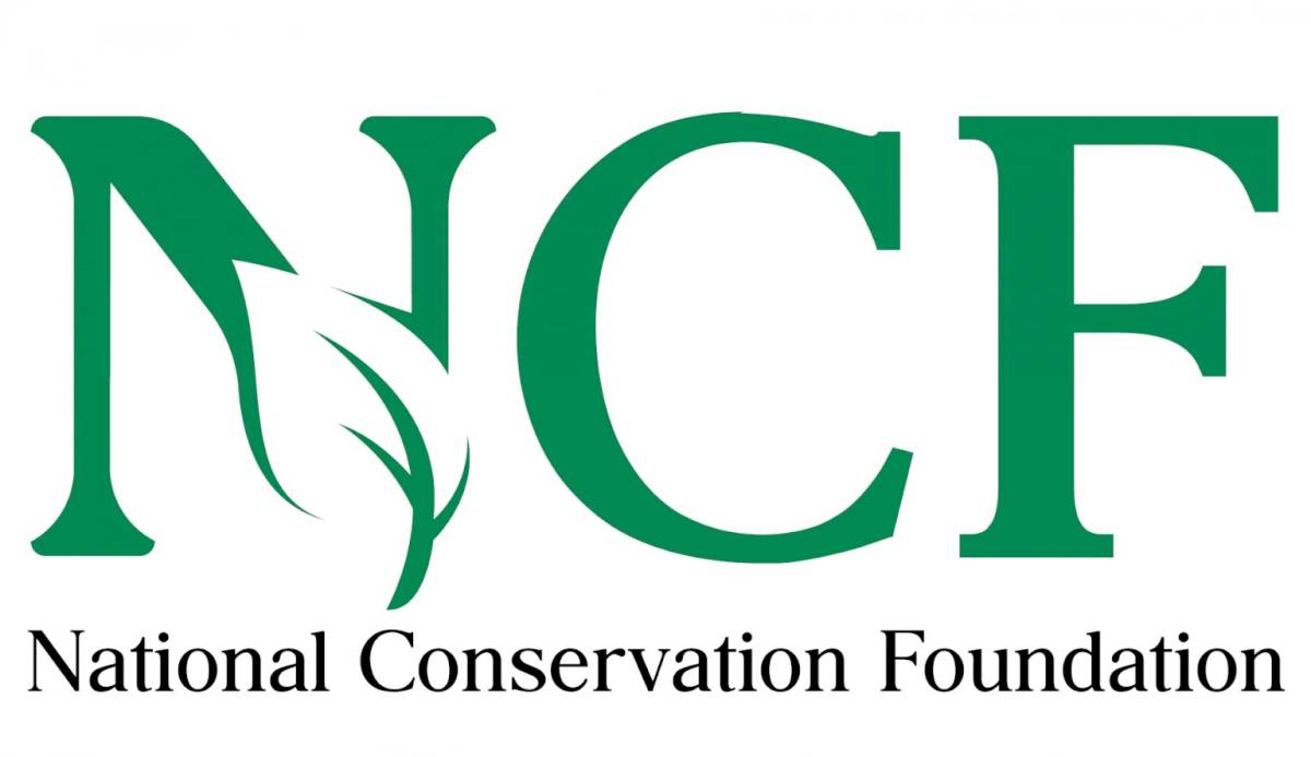 The Nigerian Conservation Foundation has called for urgent action to halt deforestation, noting that...