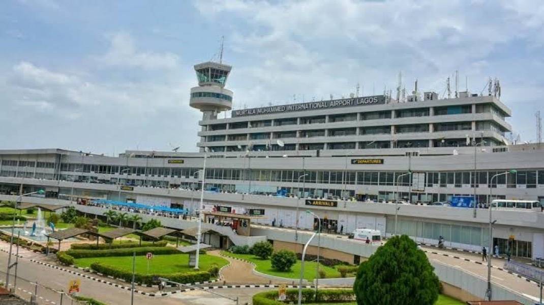 Rising bird strikes at Nigerian airports spark fresh aviation safety concerns
