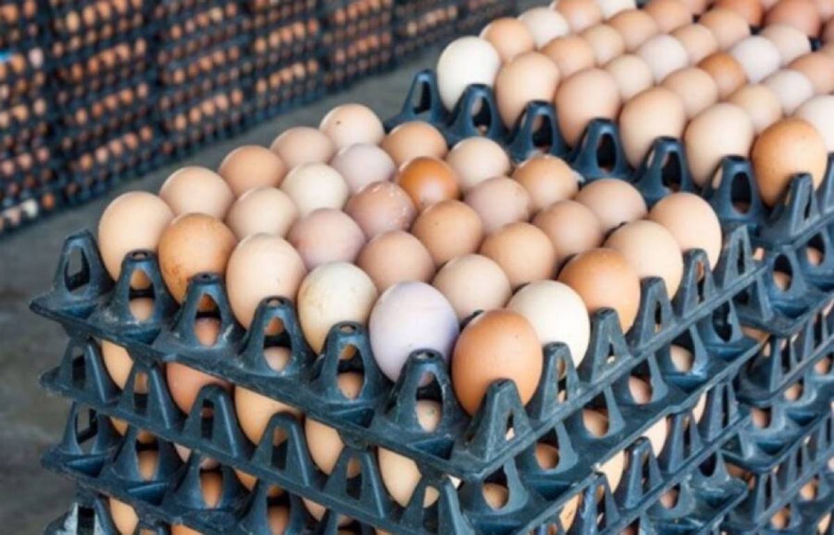 Egg prices surge to ₦8,500