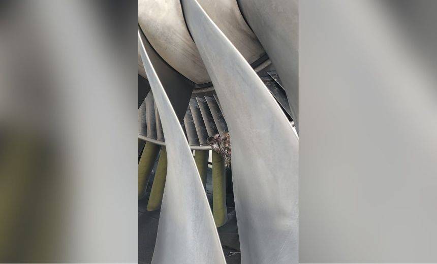 United Nigeria Airlines has announced disruptions to some of its scheduled flights following a bird...
