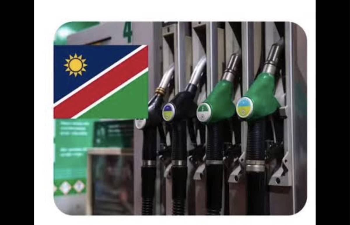 Africa News: Namibian Government has temporarily reduced fuel levies by 50% for at least three month...