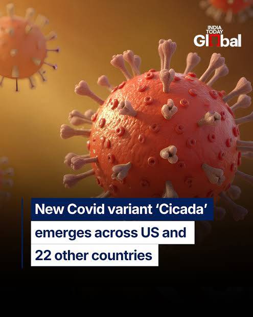 A new, highly mutated COVID-19 variant, scientifically known as BA.3.2 and nicknamed "Cicada," is cu...