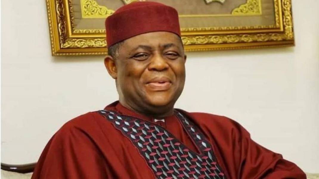 You shall never become president
~ Fani-Kayode blasts Peter Obi over NADECO post