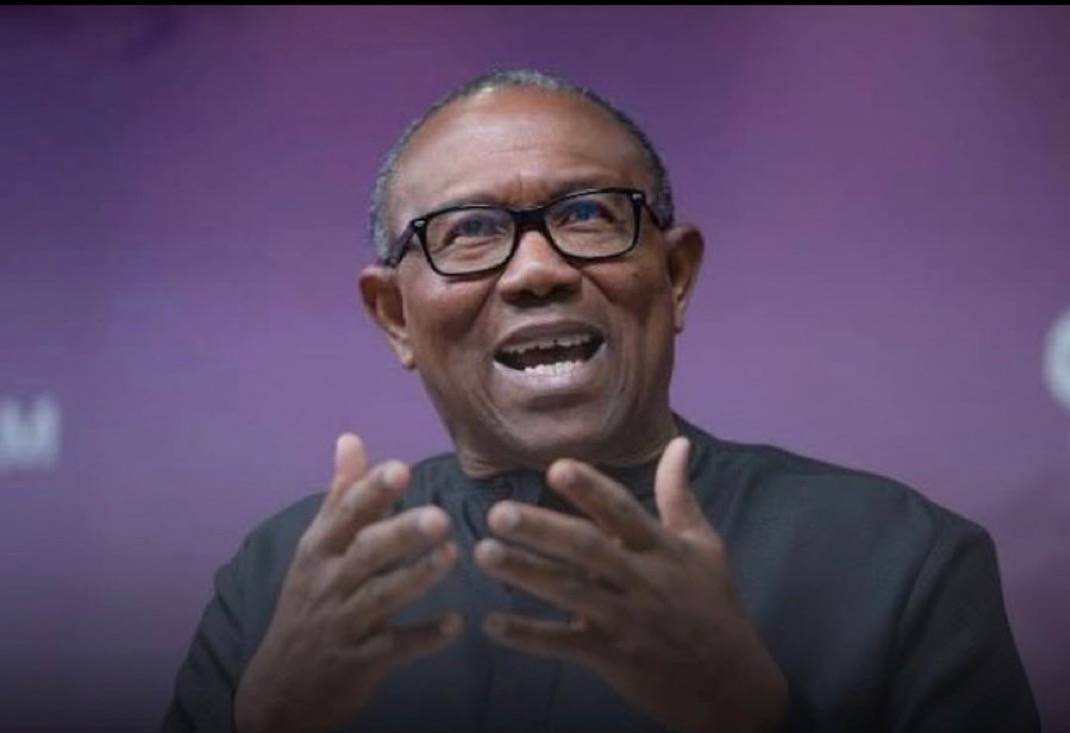 “During the 2023 campaign, President Tinubu made a clear electoral promise: “If I don’t give you con...