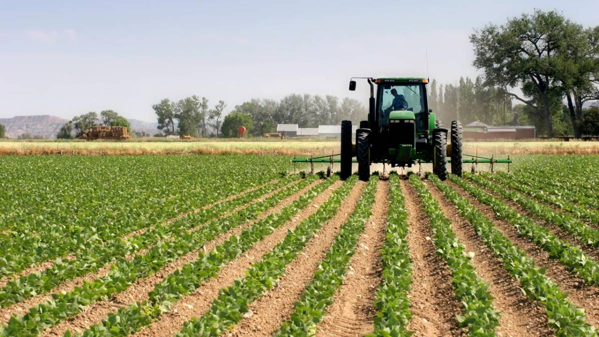 A latest report by the National Bureau of Statistics (NBS) has revealed that Nigeria’s agricultural...