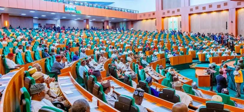 The House of Representatives has directed the Central Bank of Nigeria (CBN), NIRSAL, and SMEDAN to r...