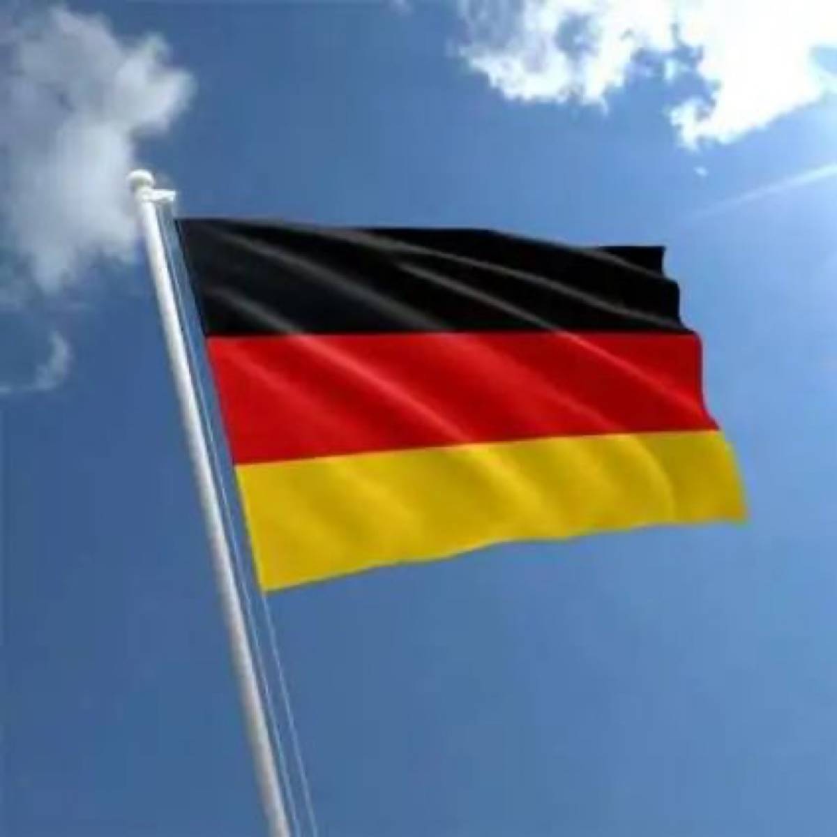 The Embassy of Germany in Abuja has announced a vacancy for a full-time administrative officer in it...